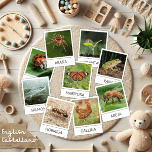 ciclos vida bundle
