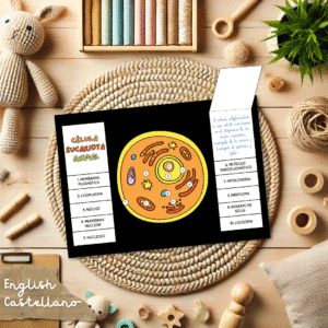 flipbook célula animal