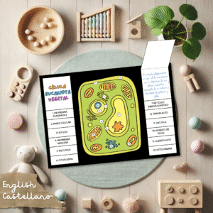 flipbook célula vegetal